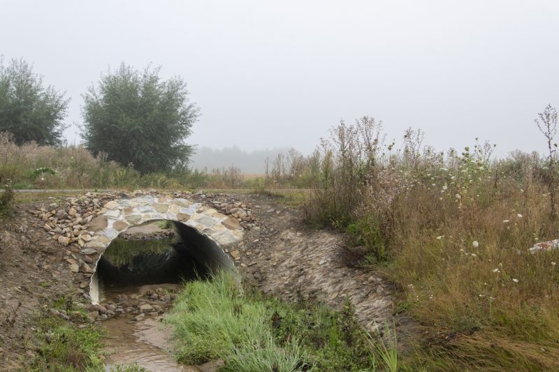 Eco-Friendly Options